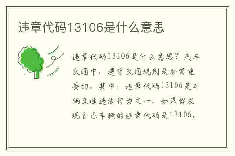 违章代码13106是什么意思(违章代码13106是什么意思啊)