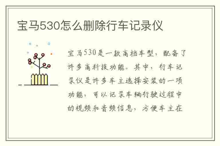 宝马530怎么删除行车记录仪(宝马530怎么删除行车记录仪app上)