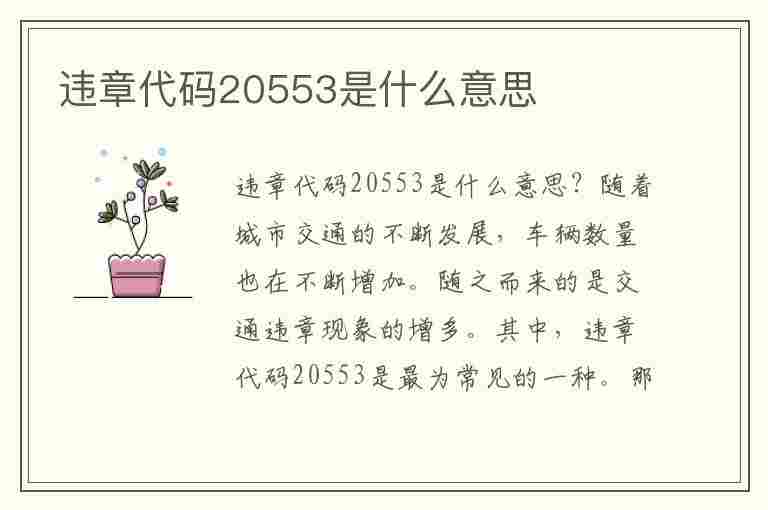 违章代码20553是什么意思(违章代码20553是什么意思啊)