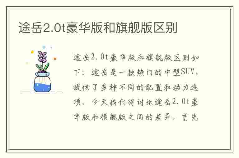 途岳2.0t豪华版和旗舰版区别(途岳2.0t豪华版和旗舰版区别在哪)