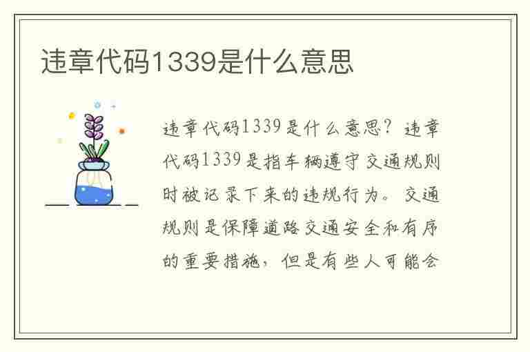 违章代码1339是什么意思(违章代码1339是什么意思啊)