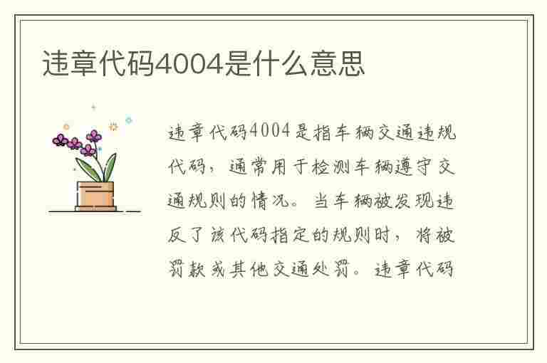 违章代码4004是什么意思