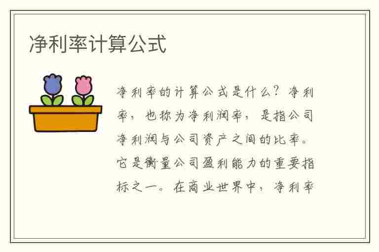 净利率计算公式(净利率计算公式举例)