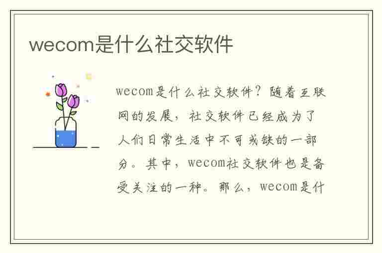 wecom是什么社交软件(wd是什么社交软件)