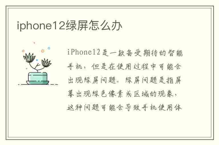 iphone12绿屏怎么办(苹果手机绿屏一闪一闪的)