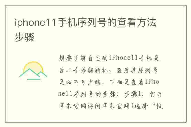 iphone11手机序列号的查看方法步骤