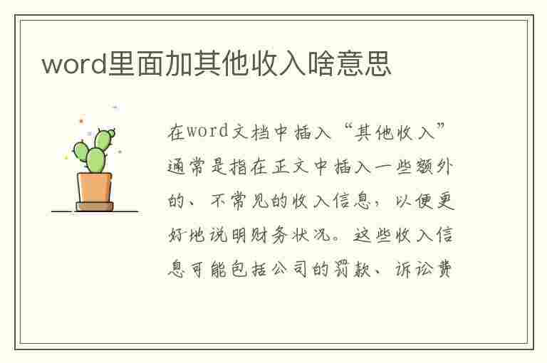 word里面加其他收入啥意思