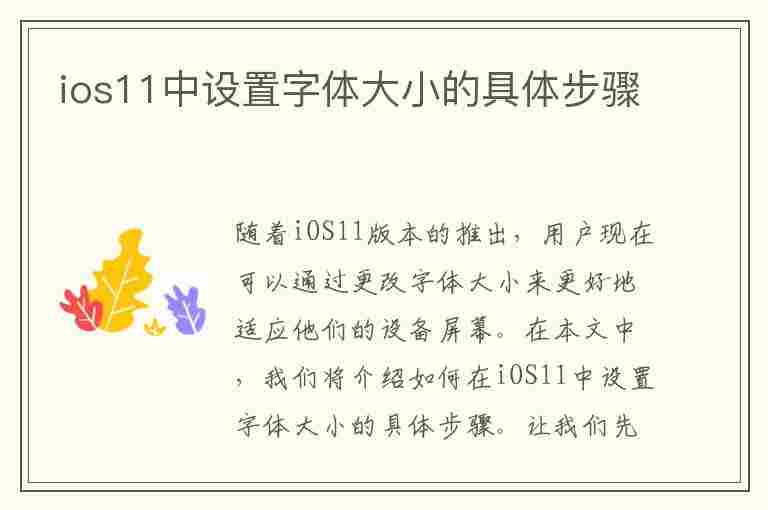 ios11中设置字体大小的具体步骤