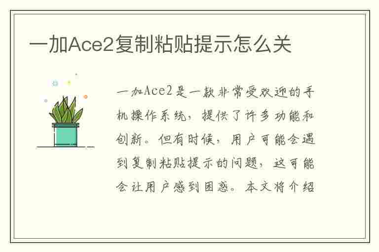 一加Ace2复制粘贴提示怎么关