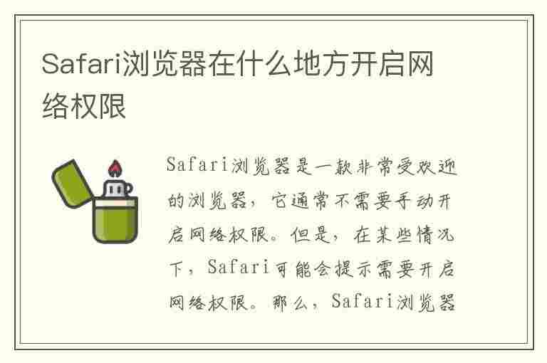 Safari浏览器在什么地方开启网络权限