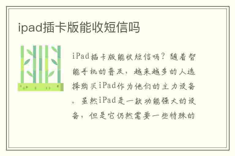 ipad插卡版能收短信吗(ipad蜂窝版能收验证码吗)