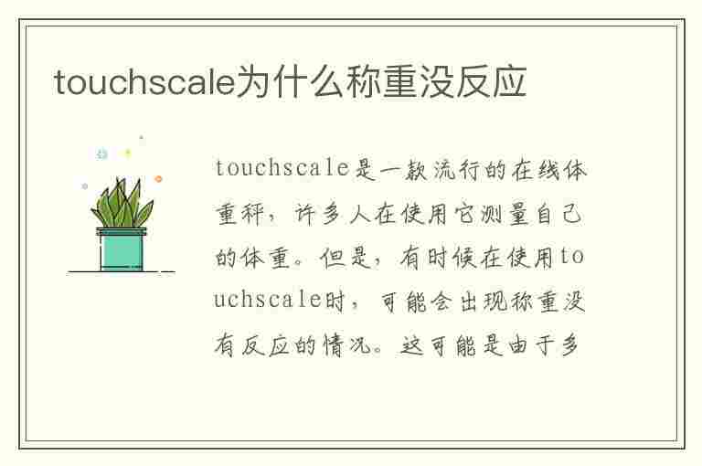 touchscale为什么称重没反应