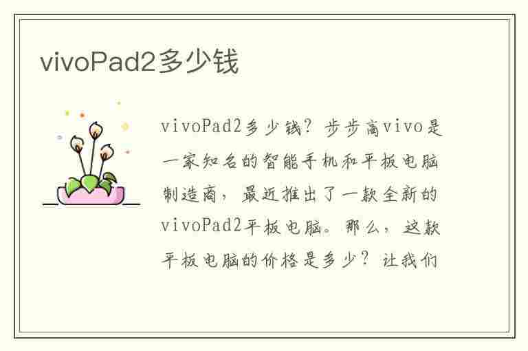 vivoPad2多少钱(实体店vivopad2多少钱)