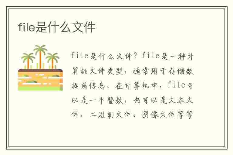 file是什么文件(file是什么文件夹)