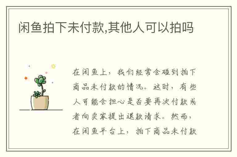 闲鱼拍下未付款,其他人可以拍吗