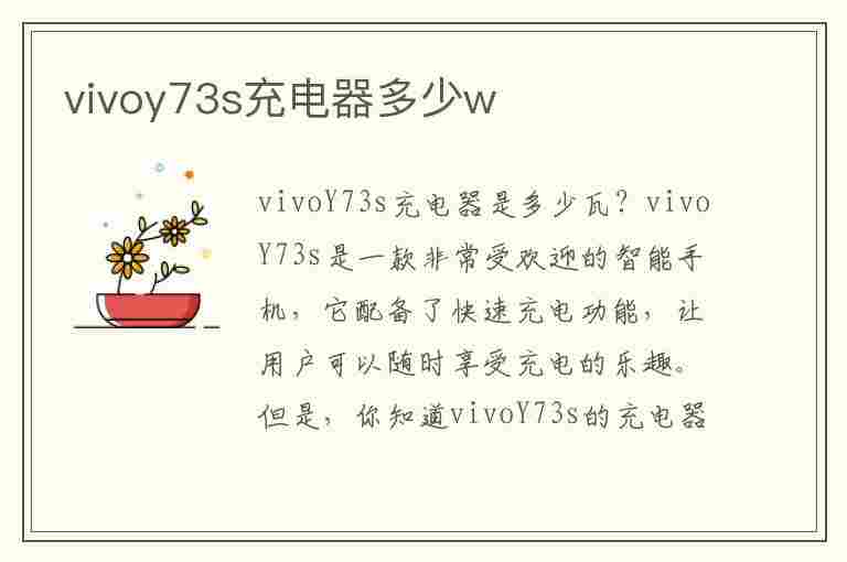 vivoy73s充电器多少w(vivoy73s充电器多少钱)