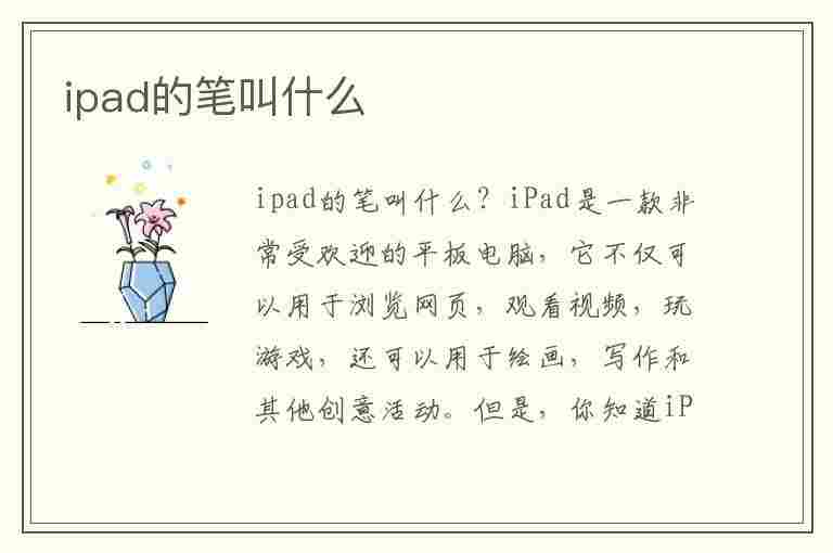 ipad的笔叫什么(ipad笔多少钱一支)