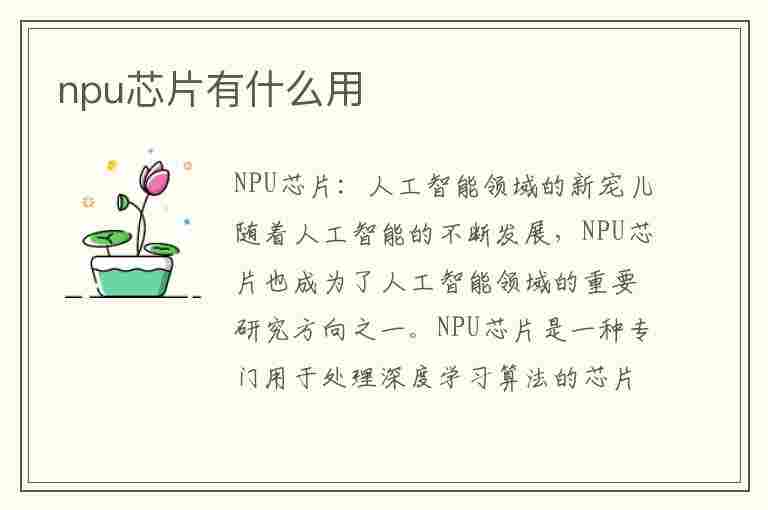 npu芯片有什么用(npu芯片是什么)