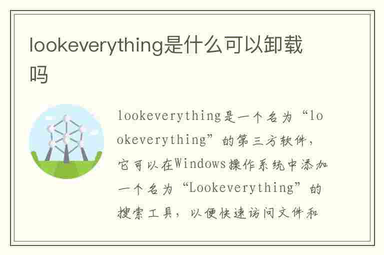 lookeverything是什么可以卸载吗