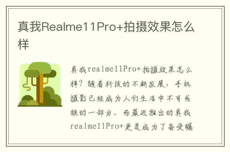 真我Realme11Pro+拍摄效果怎么样