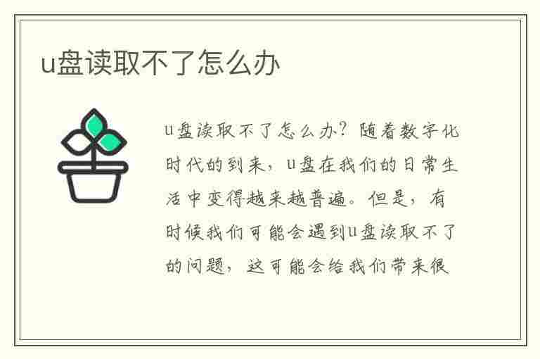 u盘读取不了怎么办(手机u盘读取不了怎么办)