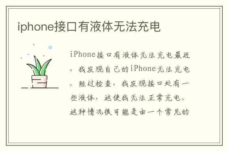 iphone接口有液体无法充电