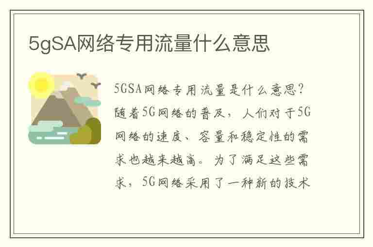 5gSA网络专用流量什么意思