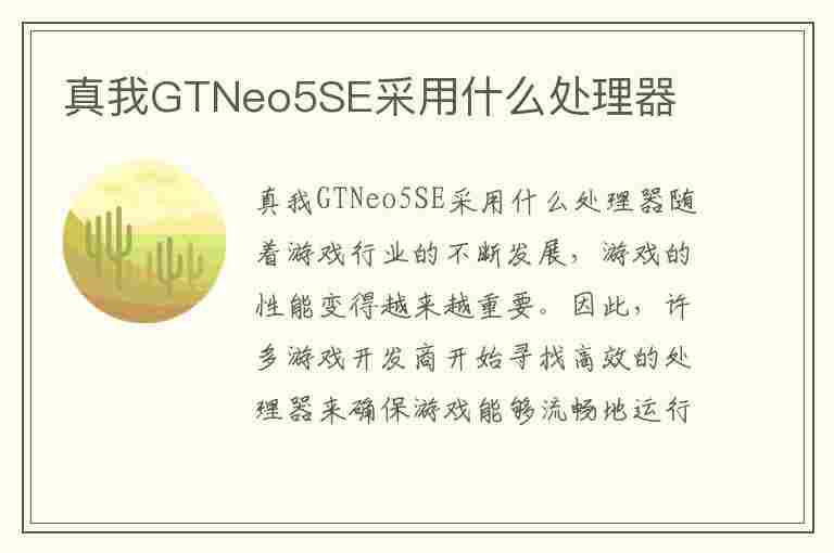 真我GTNeo5SE采用什么处理器