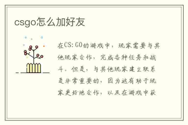 csgo怎么加好友(csgo怎么加好友对方收不到)