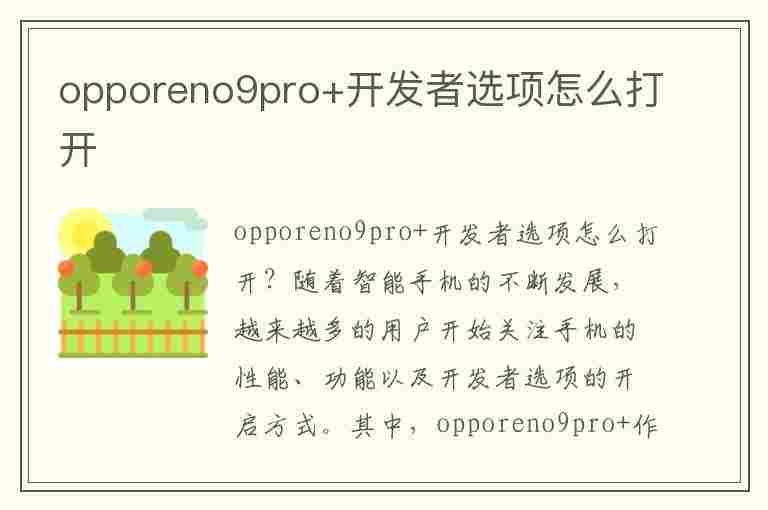 opporeno9pro+开发者选项怎么打开