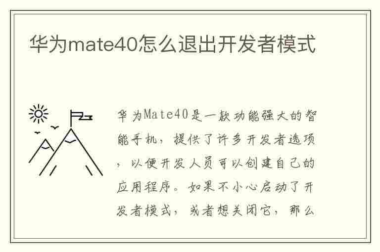 华为mate40怎么退出开发者模式