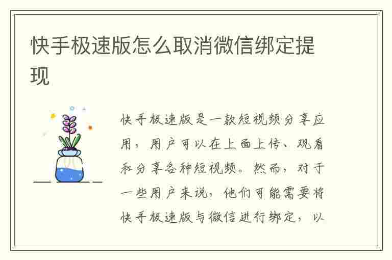 快手极速版怎么取消微信绑定提现