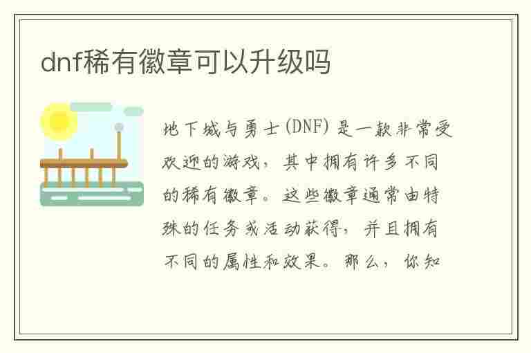 dnf稀有徽章可以升级吗(dnf稀有徽章可以升级吗多少钱)