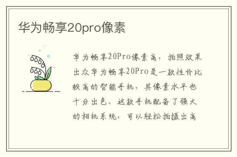 华为畅享20pro像素(华为畅享20pro像素参数)