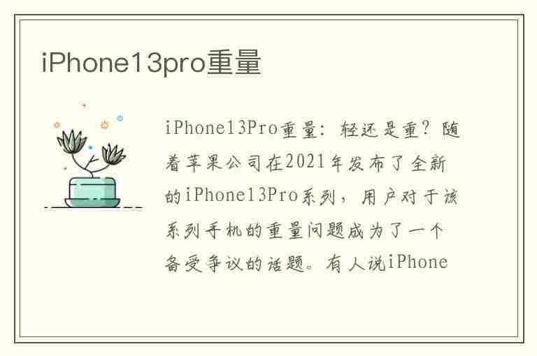 iPhone13pro重量(iphone13pro重量是多少克)