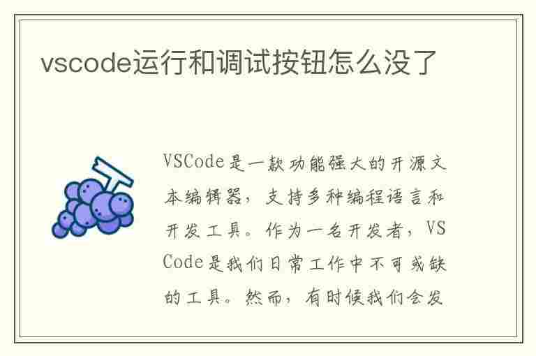 vscode运行和调试按钮怎么没了