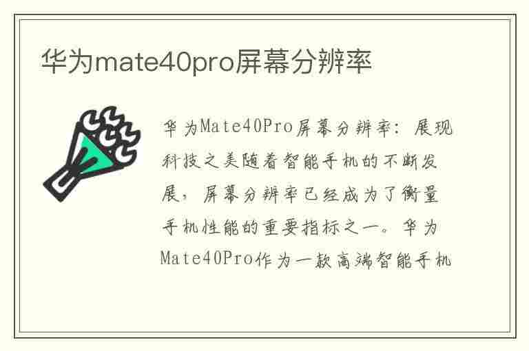 华为mate40pro屏幕分辨率