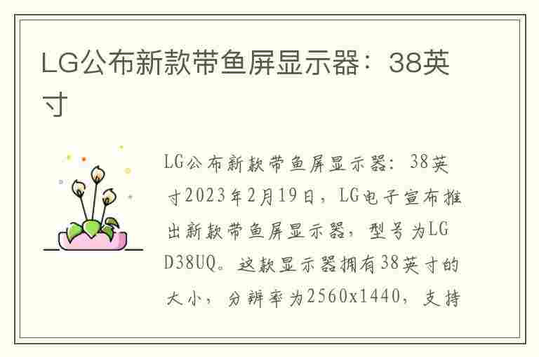 LG公布新款带鱼屏显示器：38英寸