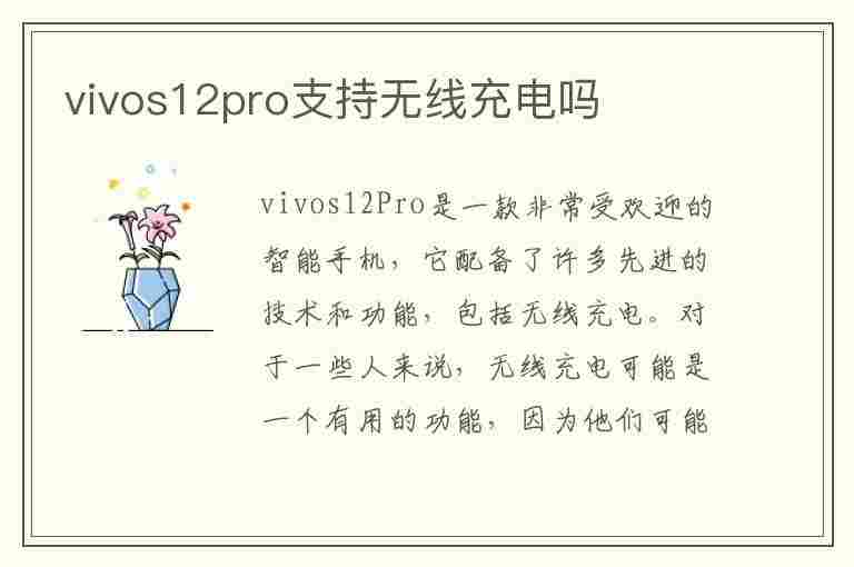 vivos12pro支持无线充电吗