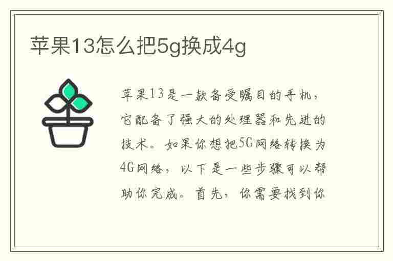 苹果13怎么把5g换成4g(苹果13怎么把5g换成4g网)