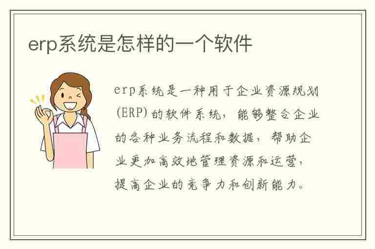 erp系统是怎样的一个软件