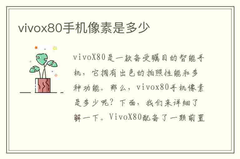 vivox80手机像素是多少(vivox80手机像素是多少在哪查)