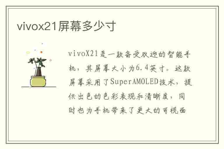 vivox21屏幕多少寸(vivox21屏幕多少寸长宽)