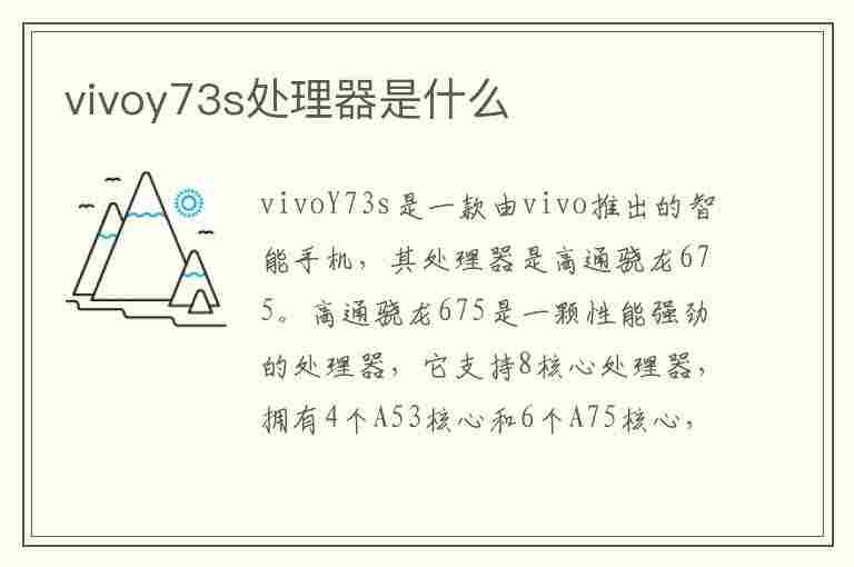 vivoy73s处理器是什么(vivoy73s处理器是什么型号)