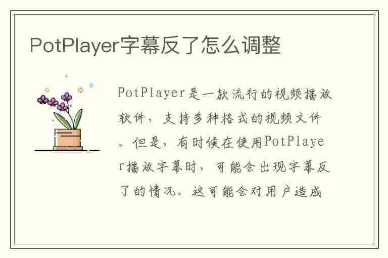 PotPlayer字幕反了怎么调整