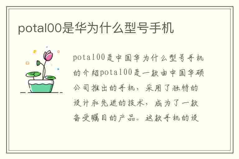 potal00是华为什么型号手机