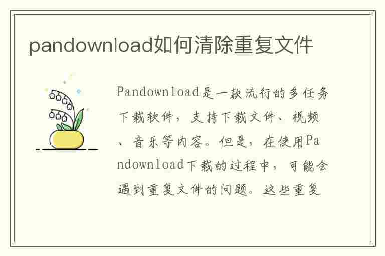 pandownload如何清除重复文件