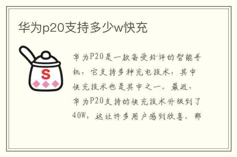 华为p20支持多少w快充(p20可以用66w快充吗)