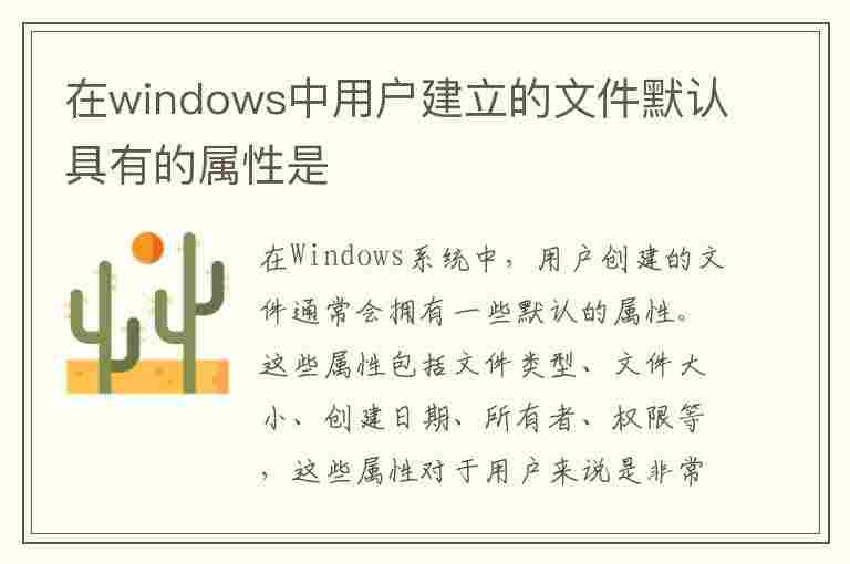 在windows中用户建立的文件默认具有的属性是