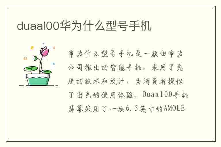 duaal00华为什么型号手机